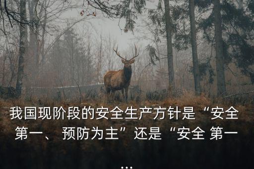 我國現階段的安全生產方針是“安全 第一、 預防為主”還是“安全 第一...
