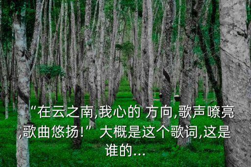 “在云之南,我心的 方向,歌聲嘹亮,歌曲悠揚!”大概是這個歌詞,這是誰的...