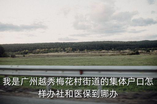 我是廣州越秀梅花村街道的集體戶口怎樣辦社和醫(yī)保到哪辦