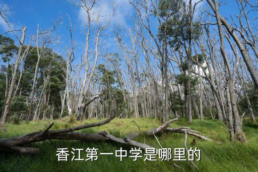 香江第一中學(xué)是哪里的