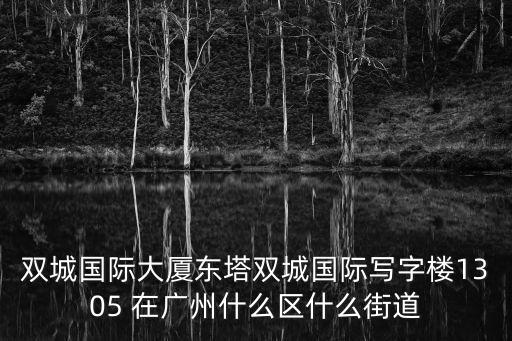 雙城國際大廈東塔雙城國際寫字樓1305 在廣州什么區什么街道