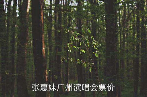 廣州演藝中心演唱會票，張惠妹廣州演唱會票價
