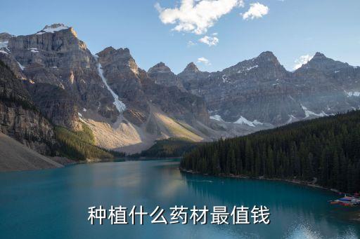 名貴中藥材排名,如何種植藥材最賺錢?