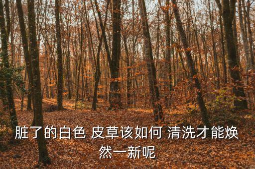 皮草怎么清洗,不同種類皮草怎么洗?一文看懂