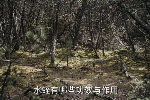 水蛭作用,研究:水蛭制劑防治心腦血管疾病和癌癥特效