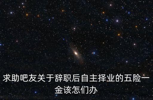 求助吧友關于辭職后自主擇業的五險一金該怎們辦