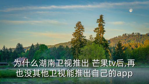 芒果臺,芒果臺指湖南衛視嗎?