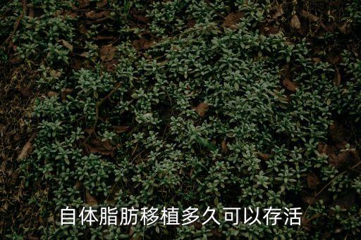 自體脂肪移植多久可以存活