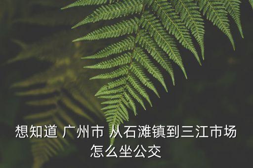想知道 廣州市 從石灘鎮到三江市場怎么坐公交