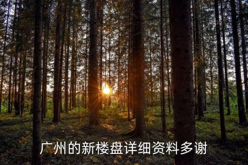 廣州的新樓盤詳細(xì)資料多謝