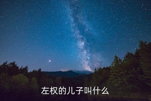 劉伯承的后代,劉志豪和劉小奇的故事
