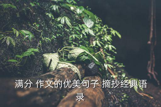 滿分作文摘抄,高考優秀滿分作文摘抄