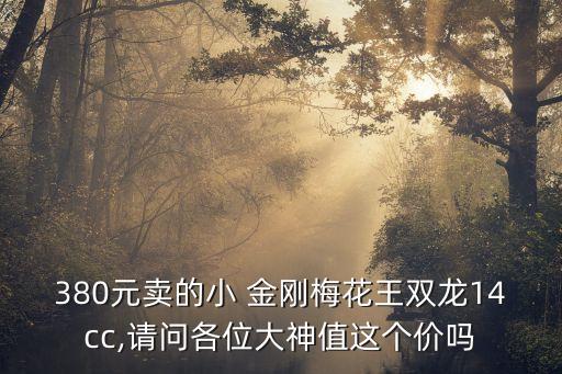 金剛圖片,變形金剛雷霆艦隊里迷你金剛有多少?