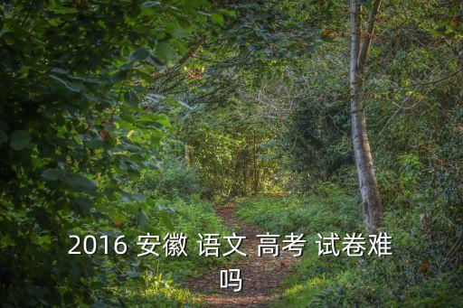 安徽高考語文試卷,理解文中重要概念含義的能力已經(jīng)達(dá)標(biāo)