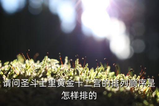 請問圣斗士里黃金十二宮的排列順序是怎樣排的