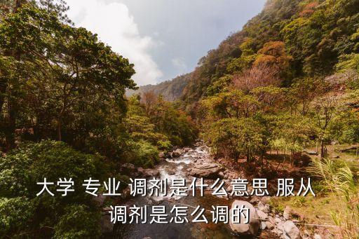 大學 專業 調劑是什么意思 服從 調劑是怎么調的
