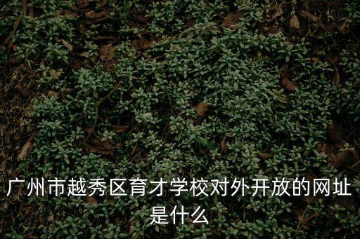 廣州市越秀區育才學校對外開放的網址是什么