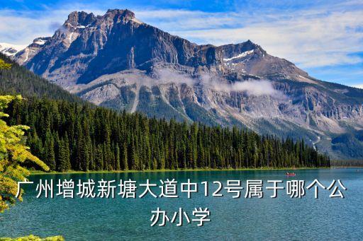 廣州新塘公辦小學(xué)，廣州增塘有幾所公立小學(xué)