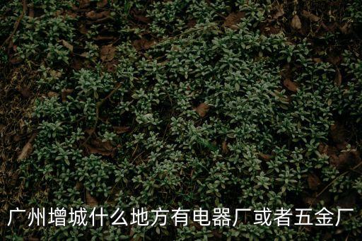 廣州增城什么地方有電器廠或者五金廠