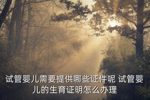 廣州試管嬰要什么證件，廣州做試管嬰兒需要什么證件