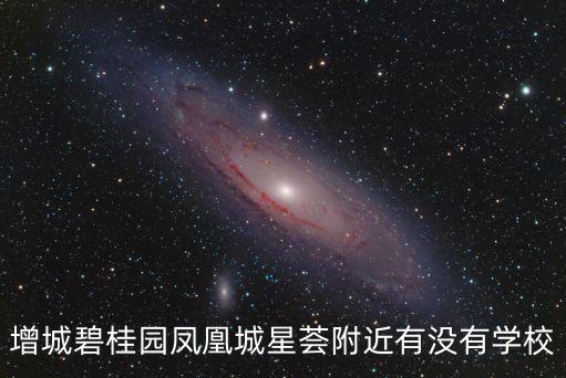增城碧桂園鳳凰城星薈附近有沒有學(xué)校