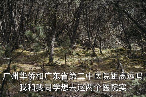 廣州華僑和廣東省第二中醫院距離遠嗎我和我同學想去這兩個醫院實