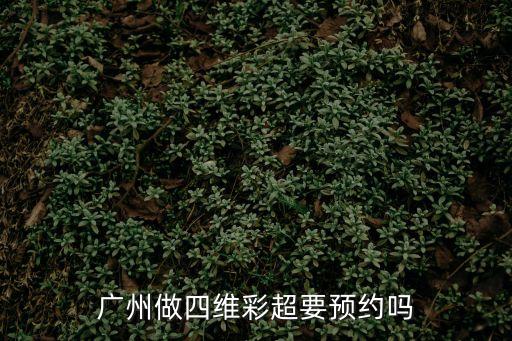 廣州做四維要預(yù)約嗎，廣州市第一人民醫(yī)院四維彩超可以網(wǎng)上預(yù)約嗎