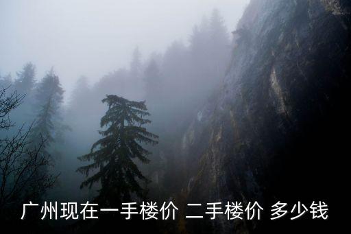 廣州市象崗山二手房價，廣州現在一手樓價 二手樓價 多少錢