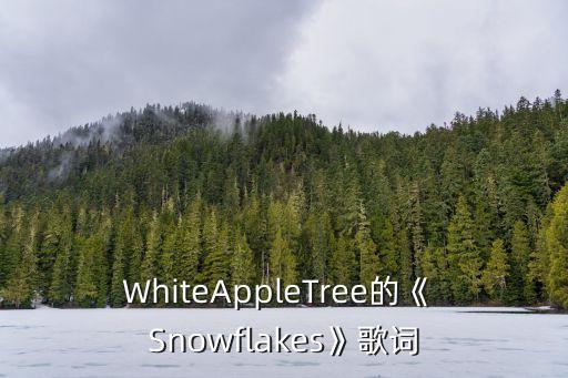 WhiteAppleTree的《 Snowflakes》歌詞