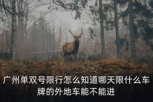 廣州單雙號(hào)限行怎么知道哪天限什么車牌的外地車能不能進(jìn)