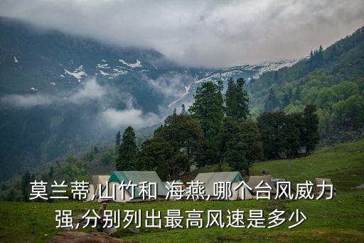 超強(qiáng)臺(tái)風(fēng)海燕