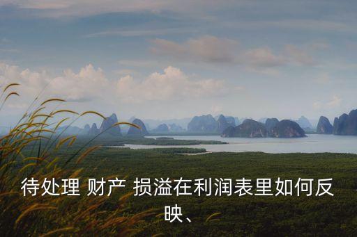 待處理 財產 損溢在利潤表里如何反映、