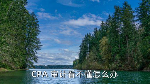 cpa審計