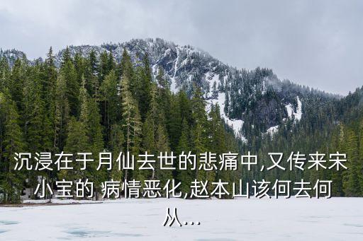 宋小寶病情