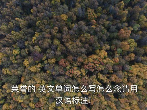 榮譽英文,榮耀英文怎么寫