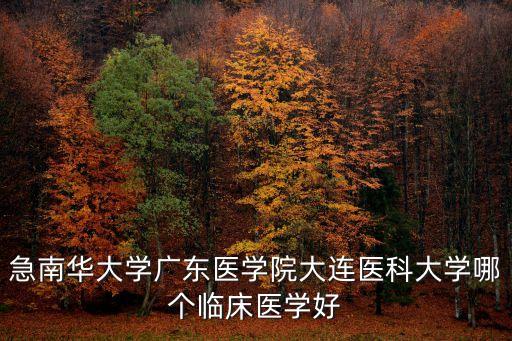 急南華大學廣東醫學院大連醫科大學哪個臨床醫學好