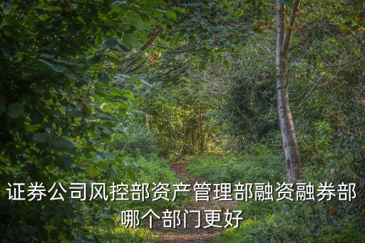 證券公司風控部資產管理部融資融券部哪個部門更好