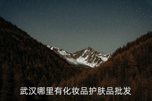 廣州中石油書記，男士面部保濕那個好洗發水那個牌子好20元下