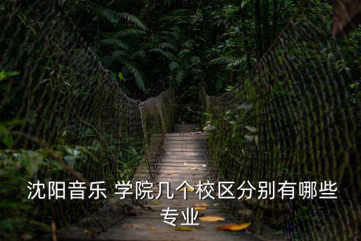  沈陽音樂 學院幾個校區分別有哪些專業