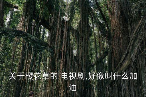 星蘋果樂園電視劇,《星蘋果樂園》主題曲出爐了嗎?