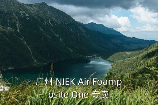 廣州 NIEK Air Foamposite One 專賣