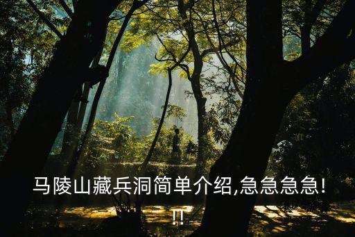  馬陵山藏兵洞簡單介紹,急急急急!!!