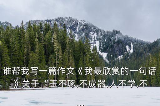青春需要雕琢,初三作文 青春需要雕琢