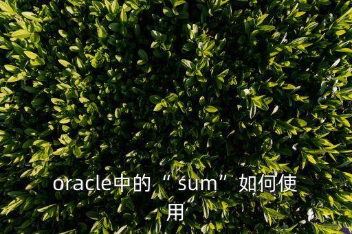 sum函數的使用方法,精彩好玩之