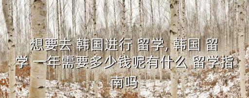 想要去 韓國(guó)進(jìn)行 留學(xué), 韓國(guó) 留學(xué) 一年需要多少錢呢有什么 留學(xué)指南嗎