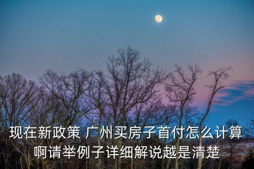 廣州首付如何計(jì)算，現(xiàn)在新政策 廣州買房子首付怎么計(jì)算啊請(qǐng)舉例子詳細(xì)解說(shuō)越是清楚