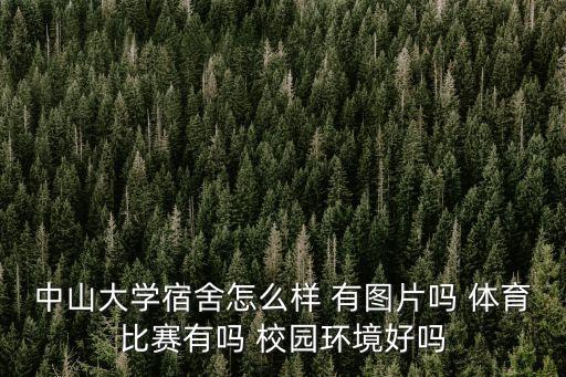 中山大學宿舍怎么樣 有圖片嗎 體育比賽有嗎 校園環境好嗎