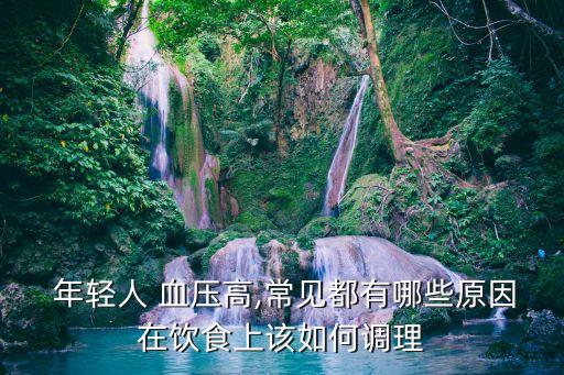  年輕人 血壓高,常見都有哪些原因在飲食上該如何調理