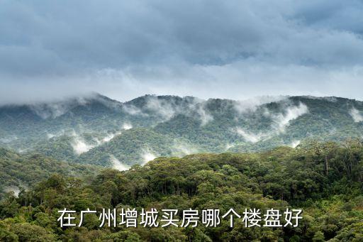 在廣州增城買房哪個樓盤好