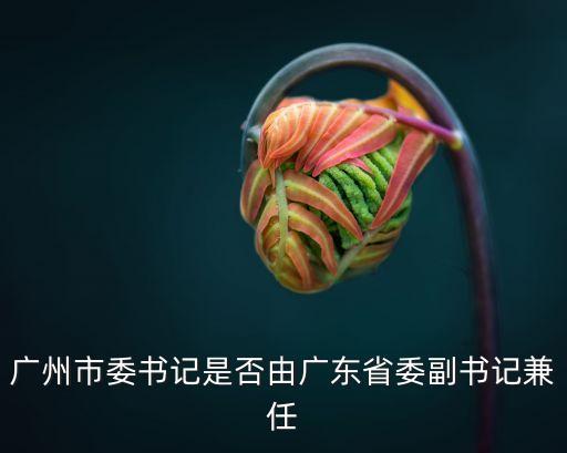 廣州市委書記是否由廣東省委副書記兼任